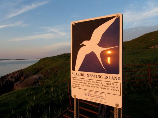 Universal Seabird Sign